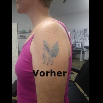 Vorher Pegasus 1560579743